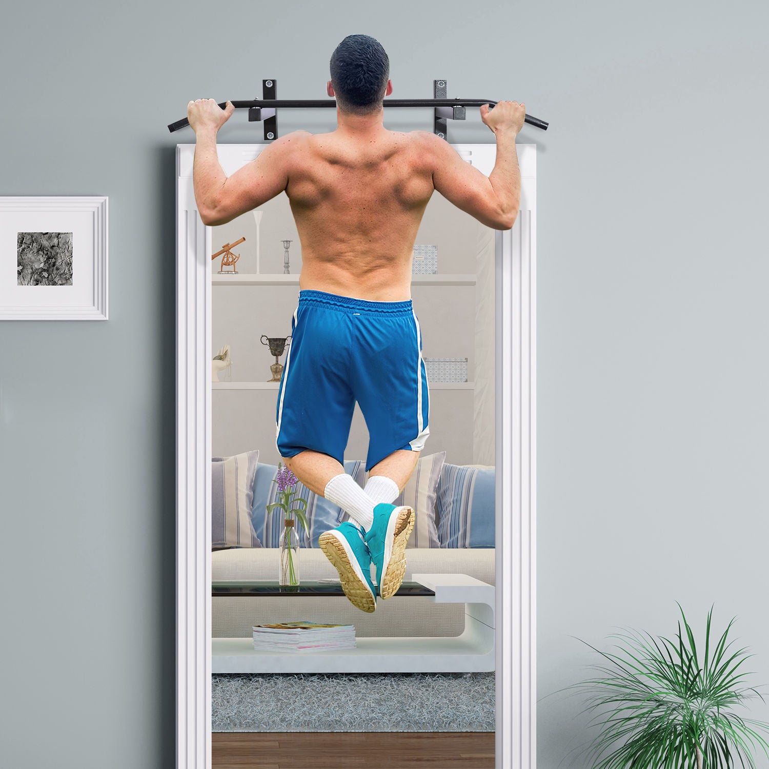 Wall Mount Pull-Up Bar